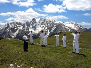 Aikikai Mestre