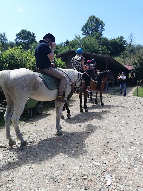 Agriturismo La Pieve