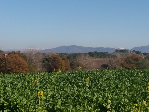 Centro Militare Di Equitazione