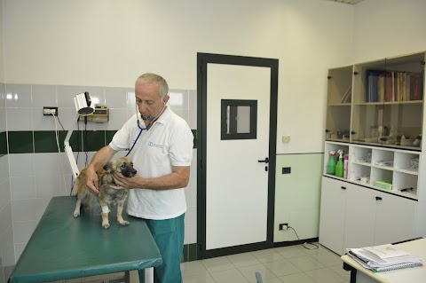 Ospedale veterinario h 24