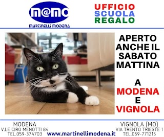 Martinelli Modena Srl