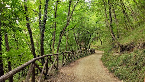 Area Naturalistica Frassineto