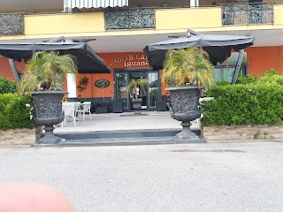 Gran Caffè Iguana