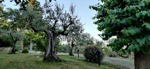 agriturismo Solaia