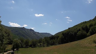 Via Romea azienda agricola - Green Life