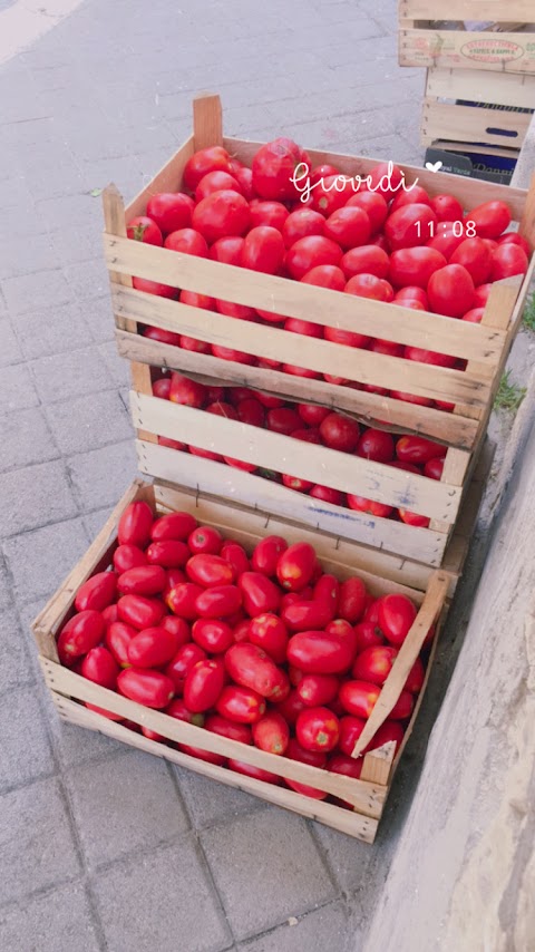 Sapori Mediterranei