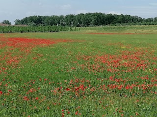 LUOGHI D'INFANZIA - Viale Po