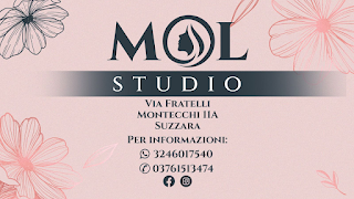 STUDIO MOL