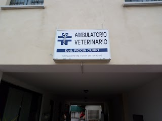 Veterinario Piccin Curio