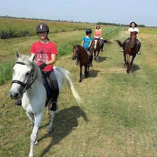 Centro Sportivo Equestre Associazione Sportiva Dilettantistica