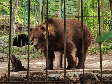 Zoo Park Rožman
