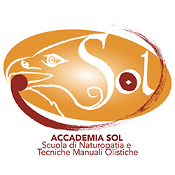 Accademia Sol Treviso