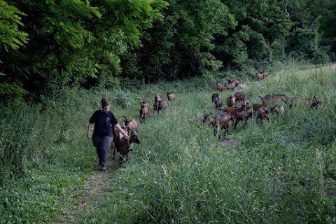 Azienda Agricola La Dinara