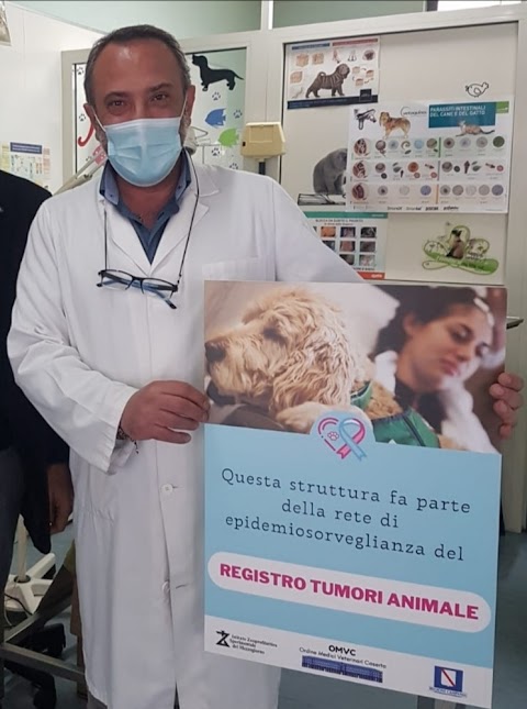 Ambulatorio Veterinario Dott. Di Lello Salvatore