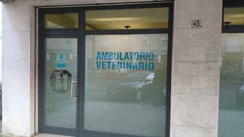 Ambulatori Veterinari Associati - Dolo Mirano