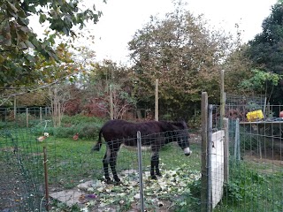 "Il Nocciolo" - Punto vendita e Azienda Agricola Biologica