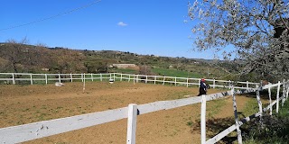 Cifa Ranch