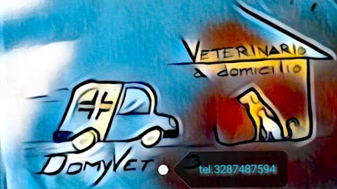 DomyVet Veterinario a domicilio Tarquinia, Blera, Civitavecchia, Vetralla