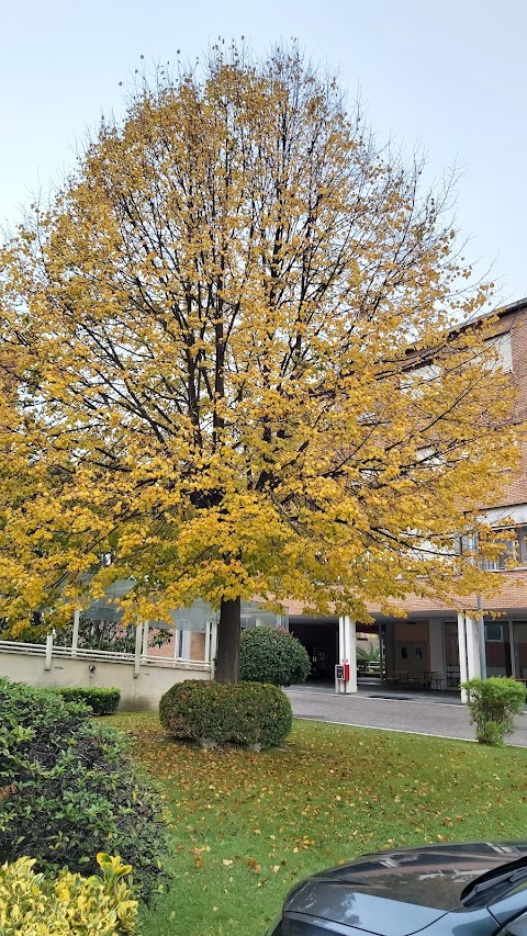 Università Pontificia Salesiana