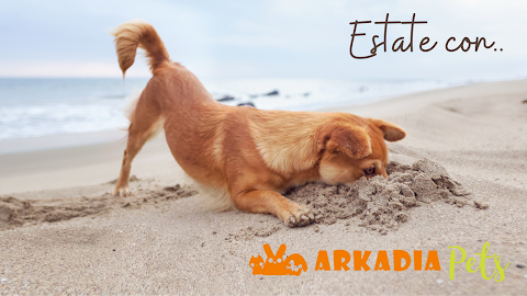 Arkadia Pets Negozio Per Animali