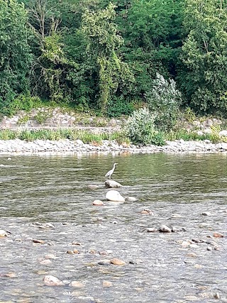 L’oasi del Pioppo