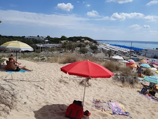 Lido Oasis Beach Cafè