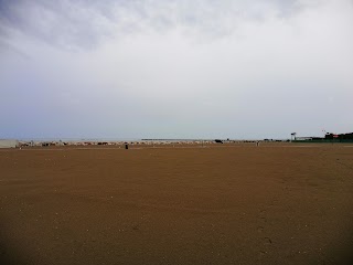 Pet’s Beach Area