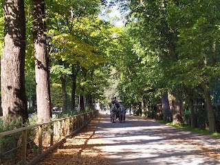 Parco delle Cascine