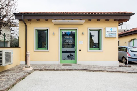 Ambulatorio Veterinario Dott.ssa Anzolin