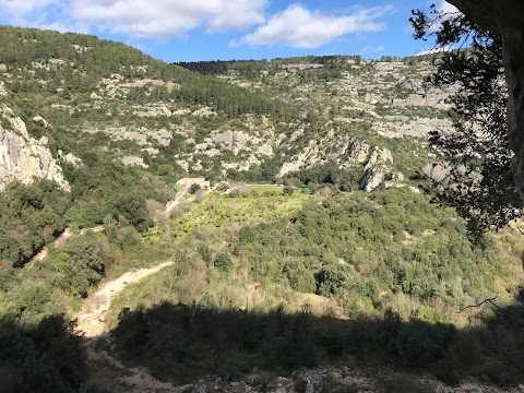 Siracusa Tour Experience - Siracusa guida naturalistica