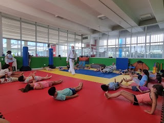 Midori Judo