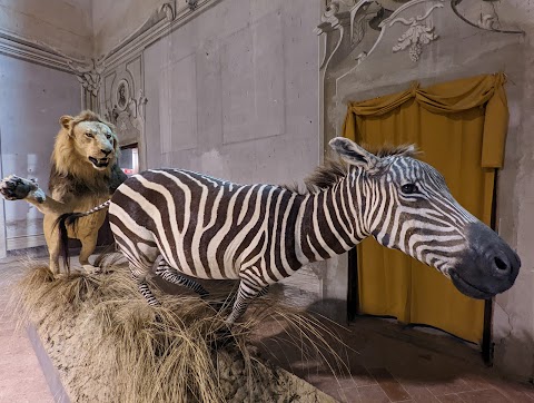 Musei Villa comunale Baciocchi