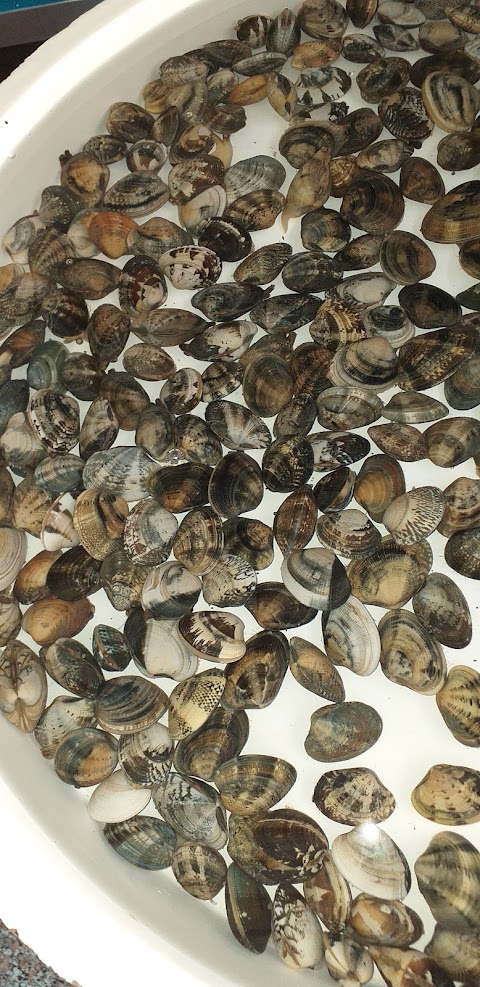 Sapori di mare di Fiorillo Antonio