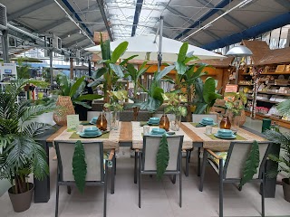 Viridea Garden Center Rho (MI)