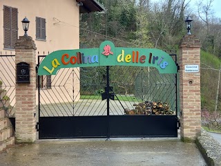 La collina delle iris