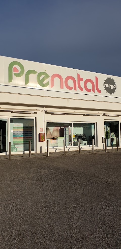 Prenatal