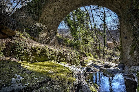 Agriturismo il Friscello