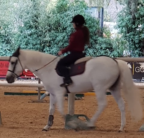 ROMA PONY CLUB