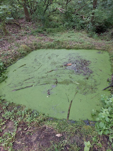 Area di Riequilibrio Ecologico "La Bora"