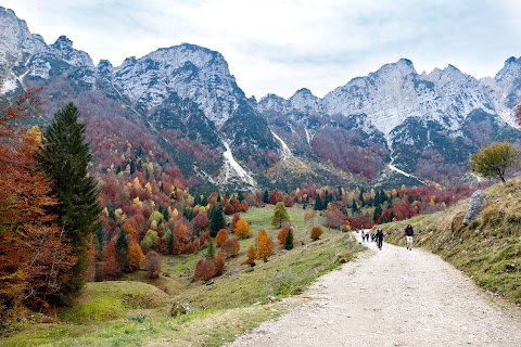 Sentiero Grandi Alberi