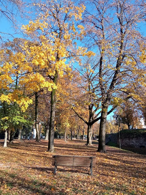 Mura di Treviso