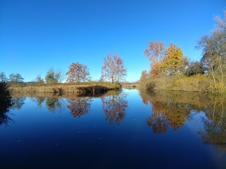 Palude Brabbia