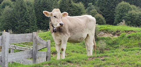 Centro Visitatori per la Flora e la Fauna Mons. Ferrari Tremalzo