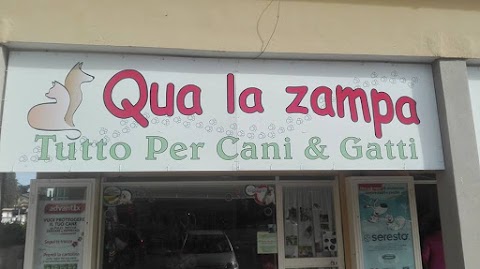 Qua la Zampa