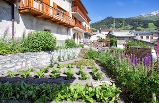 Chambres et tables d'hôtes La Roche du Croué