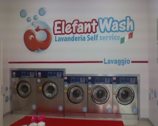 Lavanderia self service Elefant Wash di Andreani Patrizia