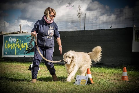 Dog School Centro Cinofilo