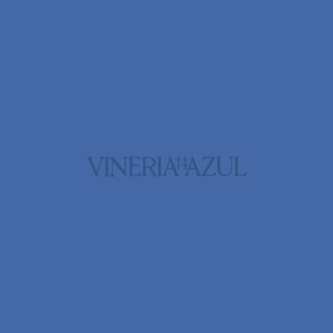 VINERIA AZUL