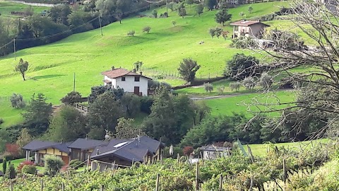 Il Platano Da Gira