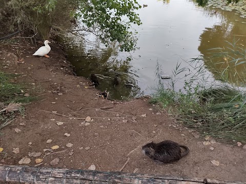 Parco del Canale dello Stagno